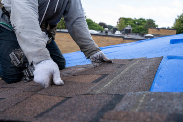 Quick and Trustworthy Emergency Roof Repair Services in Questa, NM